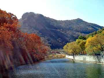 澳门二四六天天彩图库，大诚中医